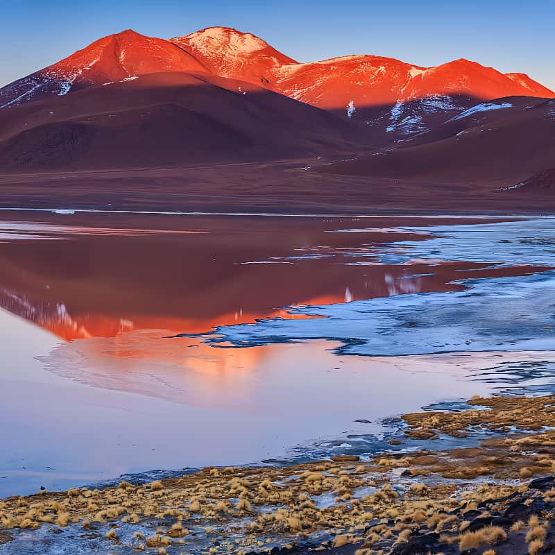 30-Day Latin America region